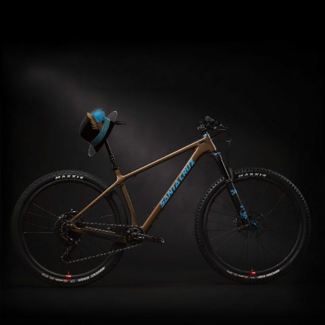 santa cruz chameleon 29