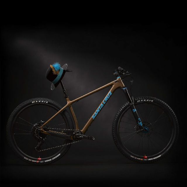 chameleon frame santa cruz