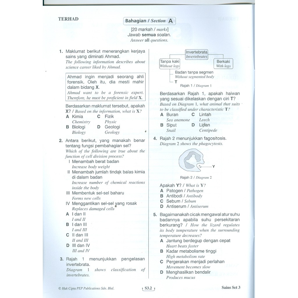 Chang Tun Kuet  Unit 4 Tumbuhan  soalan sains haiwan  Jocdynghert