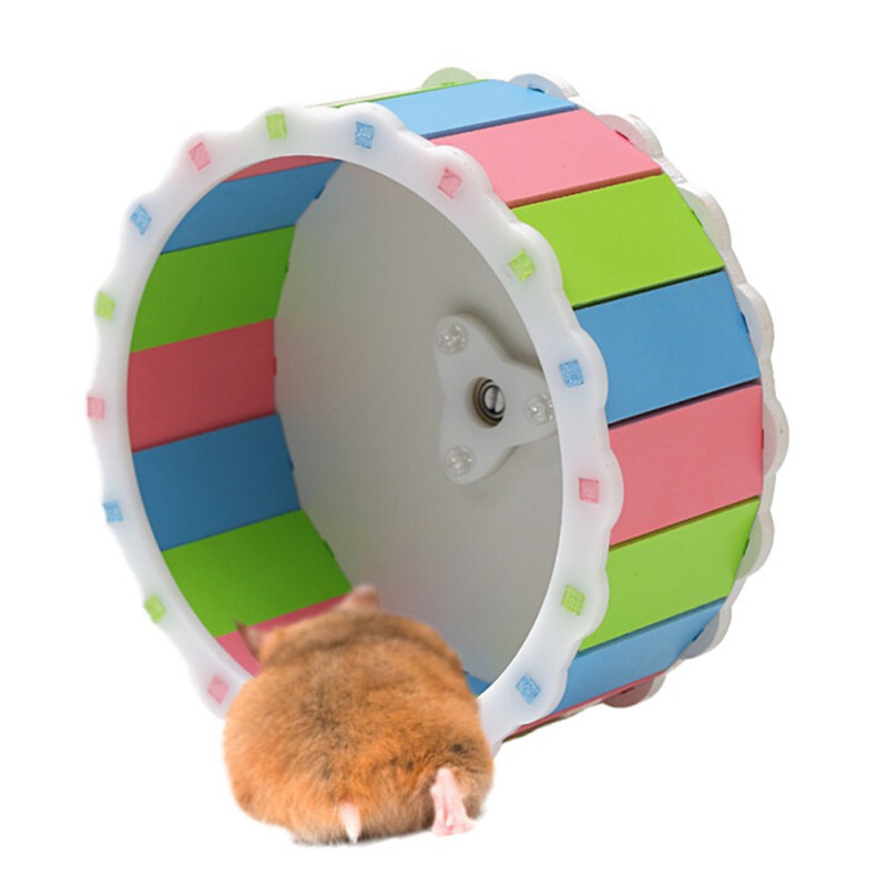 hamster exercise wheel