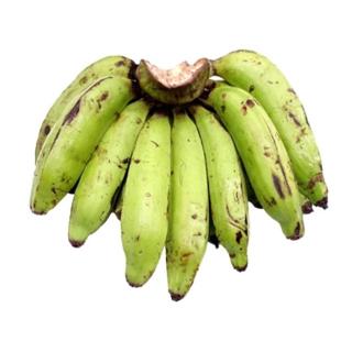 Anak Pokok Pisang Semua Jenis Benih Pokok Pisang Shopee Malaysia