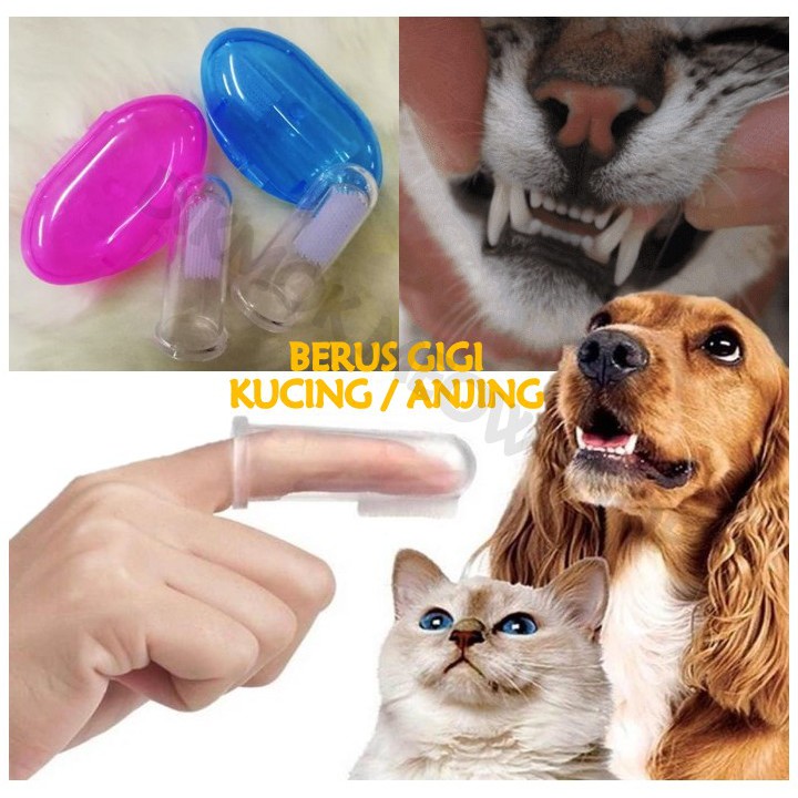 Berus Gigi Kucing Anjing Cat Dog Soft Finger Toothbrush Shopee Malaysia