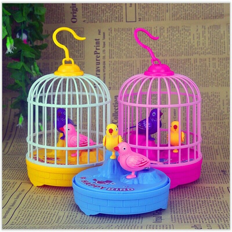 bird in a cage toy