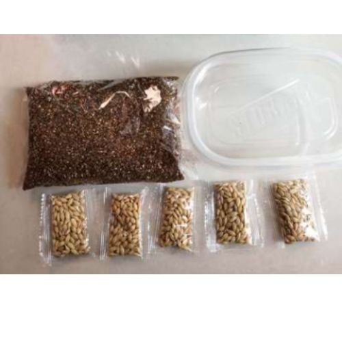 S3 ZunBao Cat Grass Seed Starter Kit (5gmSeedX5bag+Soil+Planting Box) 