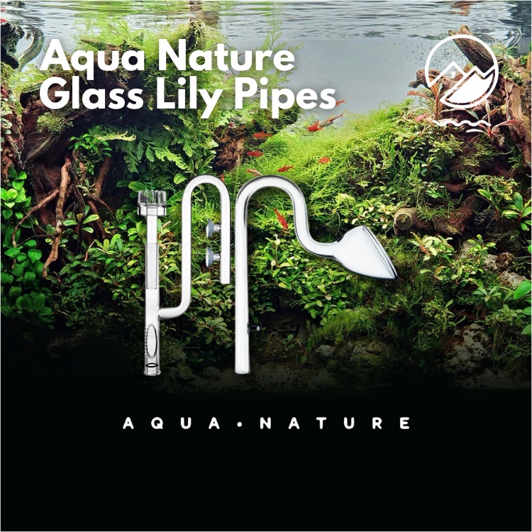 Aqua Nature Glass Lily Pipes (Inflow & Outflow) (Poppy/Spin/Surface