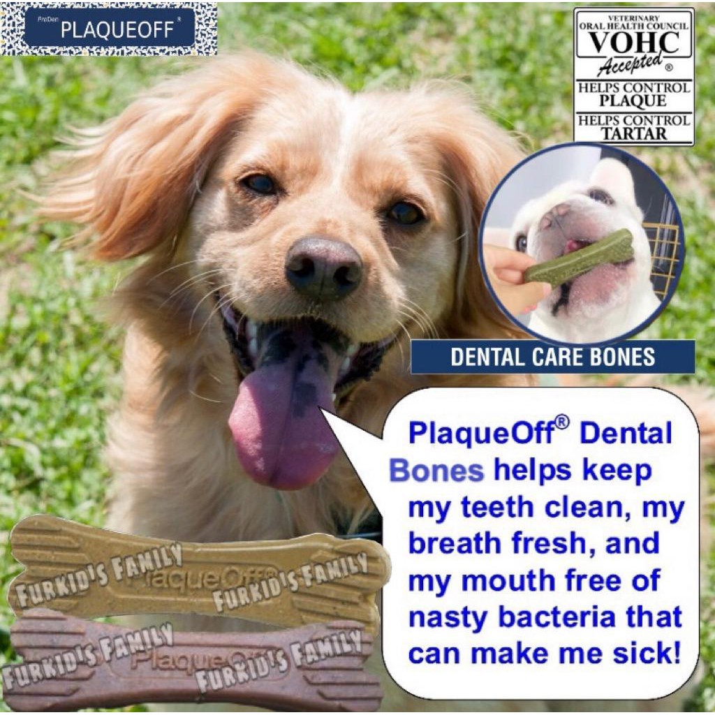 plaque off dental care bones