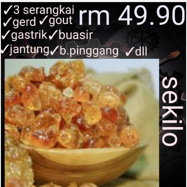Gam Arab Petua Tips