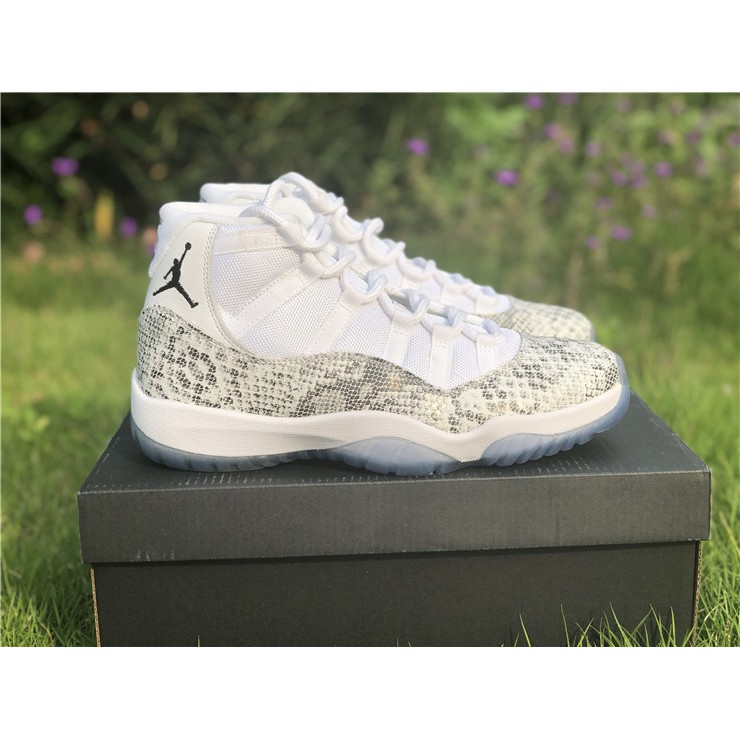 jordan 11 python