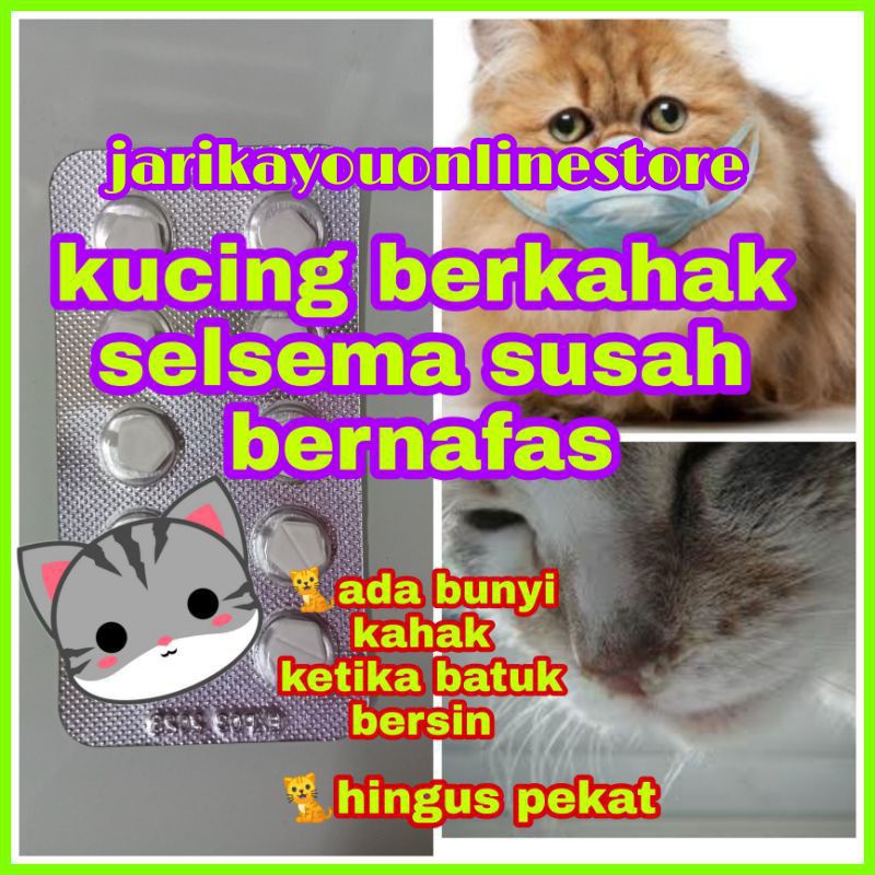 10BIJI : Ubat cair kahak kucing/ selsema kucing/ kahak kucing/ kucing hingus