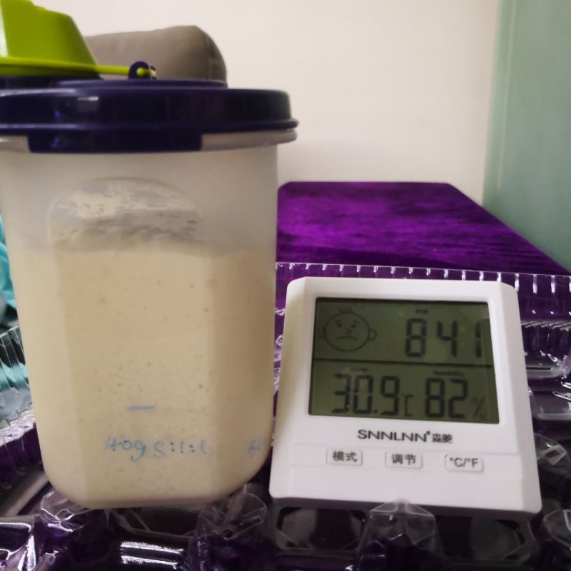 Active Sourdough Starter/Natural Yeast 90g Shopee Malaysia