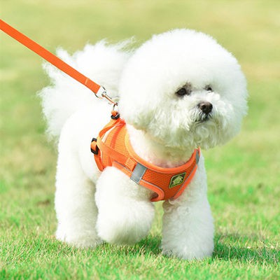 Dog tow rope Teddy Bome vest-style dog rope dog chain small dog medium dog cat rope pet supplies