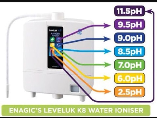enagic k8