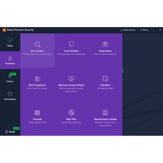 Avast Freezes At 98%