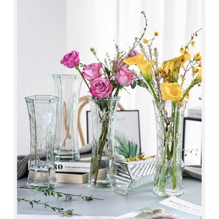 Ready stock Transparent glass Vase home decoretive glassVase特大号玻璃水培植物客厅玻璃花瓶摆件