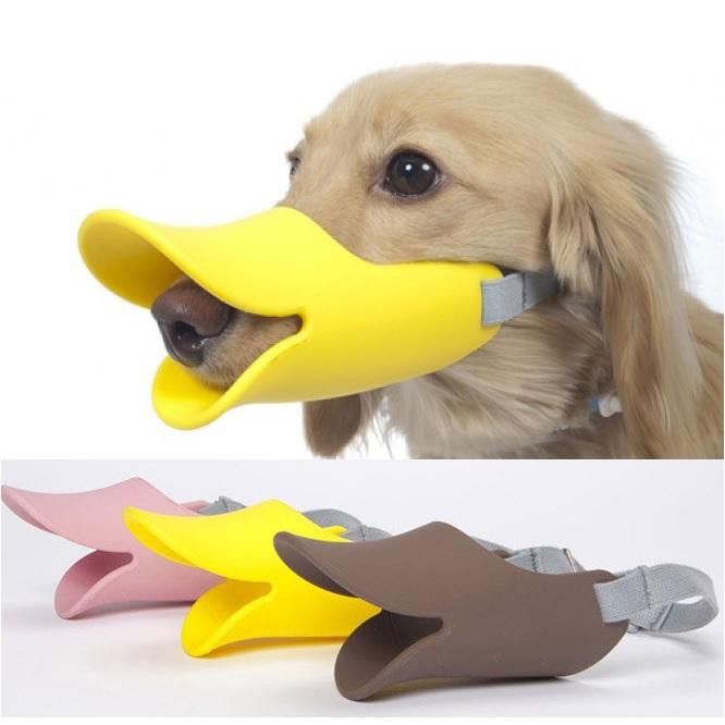 quack dog muzzle