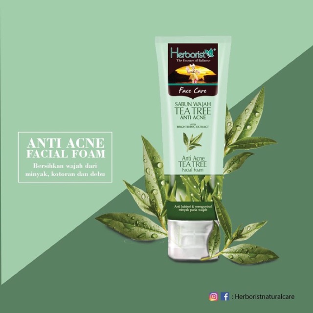 herborist tea tree facial foam