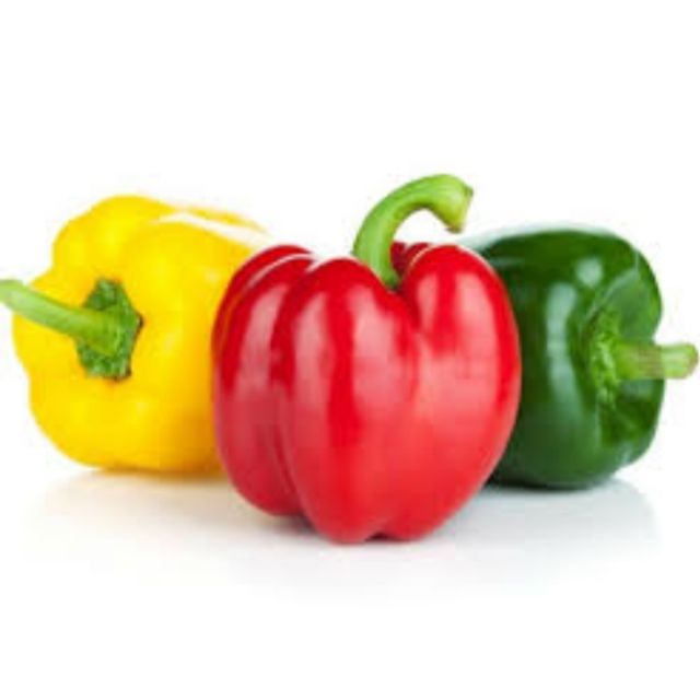 10 pcs Biji Benih lada benggala / sweet peppers green red & yellow ...