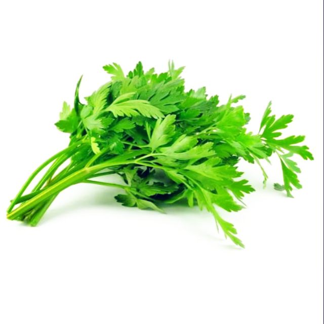 Biji Benih daun  sup saderi  celery seeds Shopee Malaysia