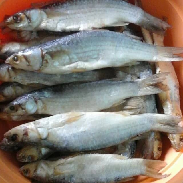 Hot Item Ikan Masin Belanak Buatan Islam Dari Perak 350 Gram Shopee Malaysia