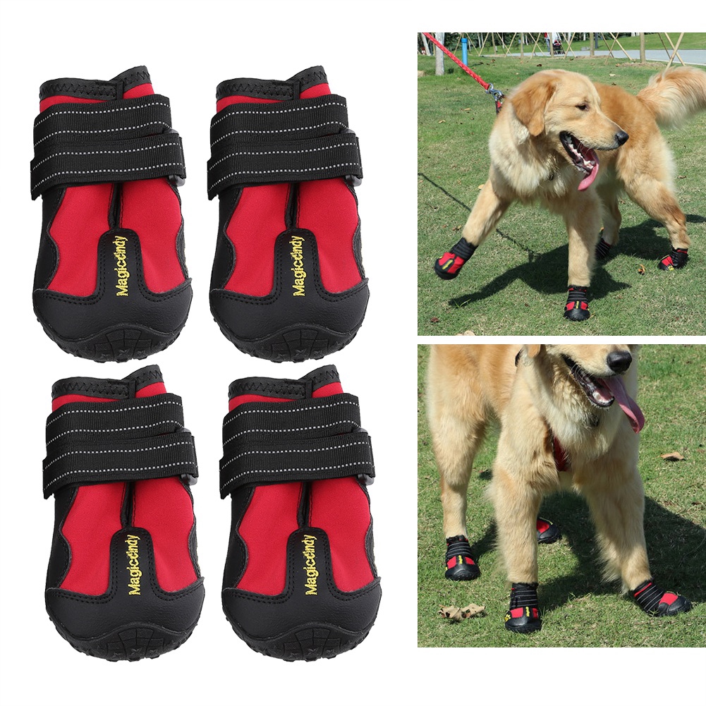 dog shoes shopee