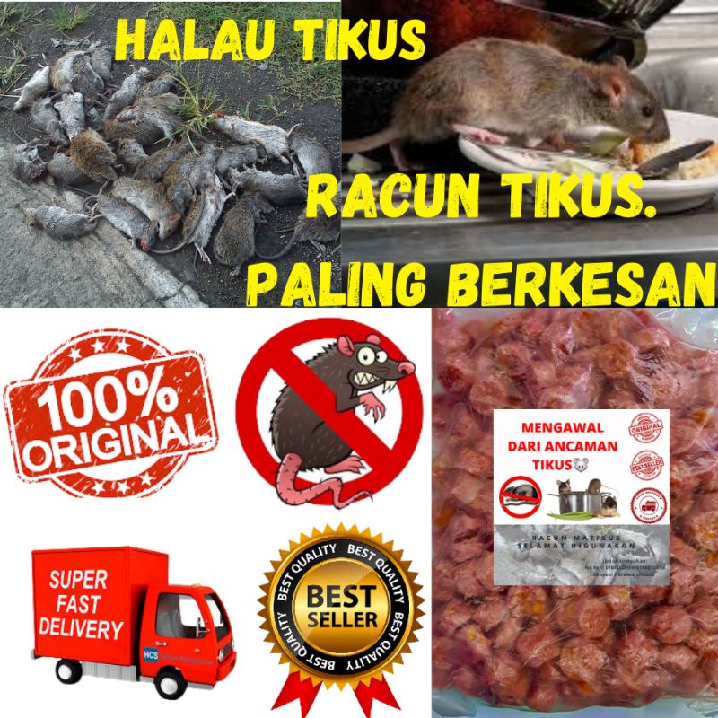 200g+++ RACUN TIKUS PALING BERKESAN YANG POPULAR DI PASARAN DAPAT