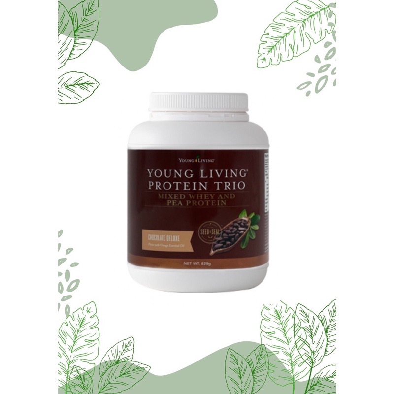 READYSTOCK Young Living Protein Trio (Chocolate Deluxe) 828g Best