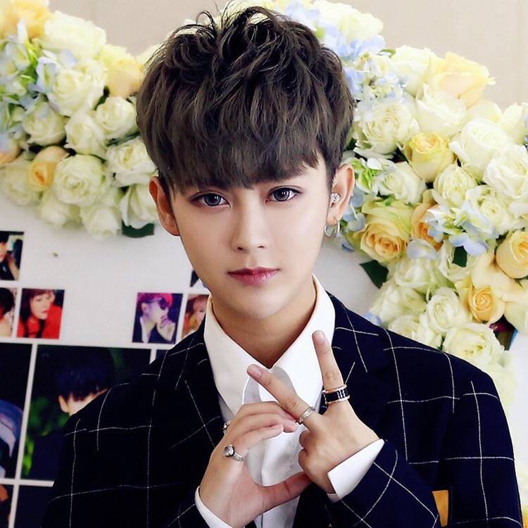 Subscript Wig Men Short Hair Handsome Lifelike Short Straight