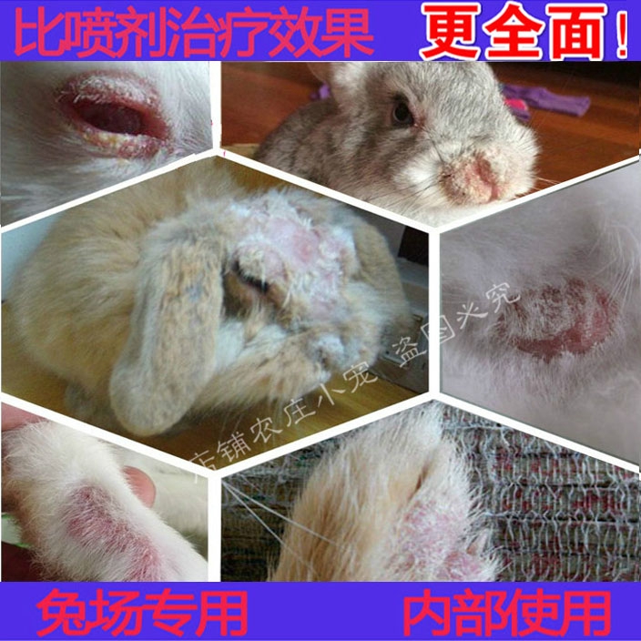 10 ML injection rabbit fur animal dermatology special medicine fungus