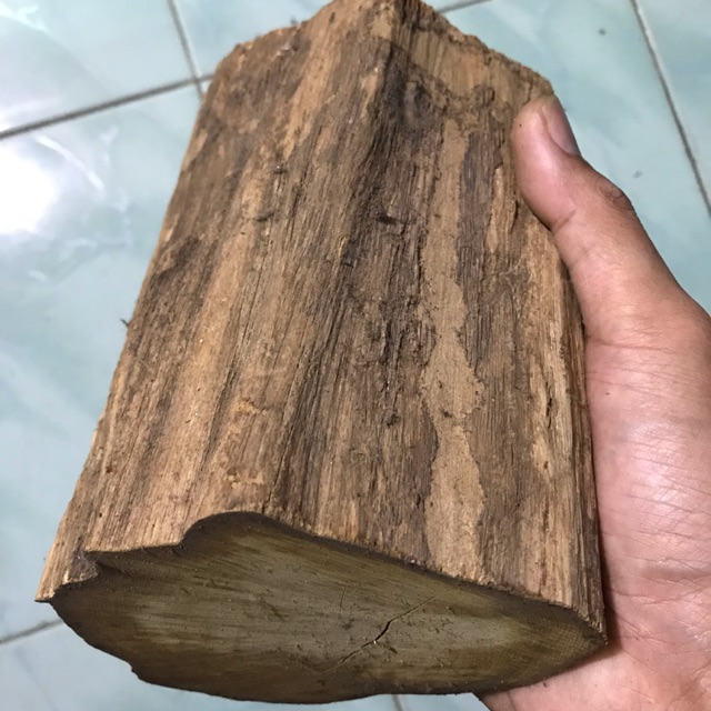 Teras Kemuning Emas Asli Shopee Malaysia