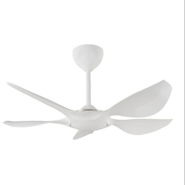 Alpha Excel 5 Blade 42 Inch Ceiling Fan Matte Black And White