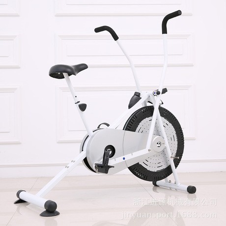 body rider upright fan exercise bike