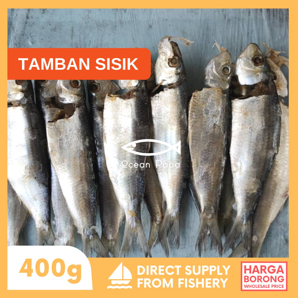 Ikan Masin Tamban Sisik Gred A - Ocean Papa (400g) | Shopee Malaysia