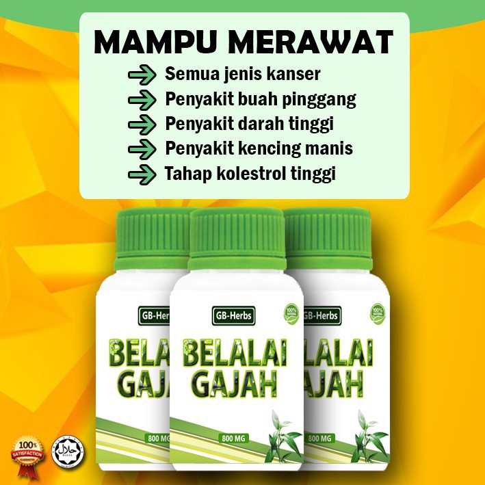 Ndlife Kapsul Daun Belalai Gajah Shopee Malaysia