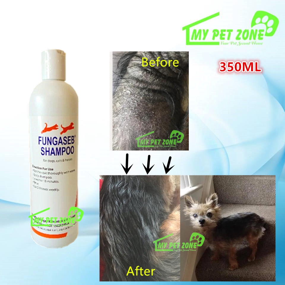 anti fungal shampoo dogs