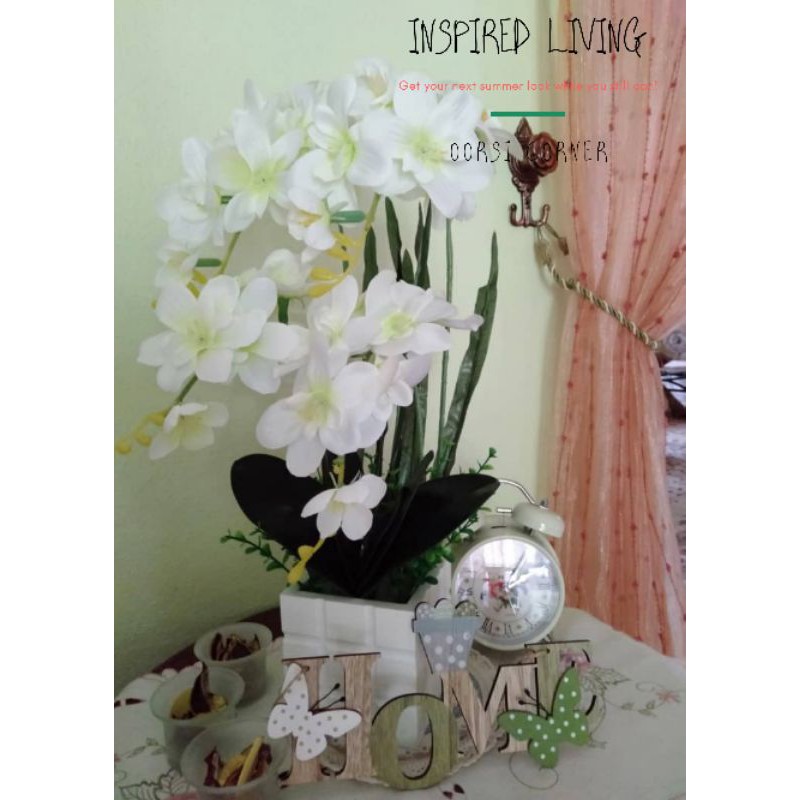 Bunga Orkid Budget Ready Stock