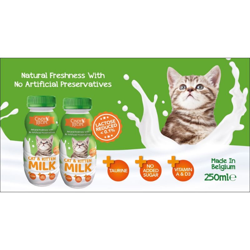 Cindy Recipe Lactose Free Cat & Kitten Milk 250ml Shopee Malaysia