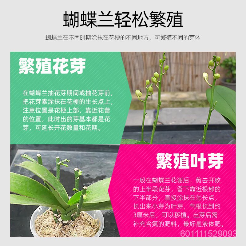 Organic Fertilizer蝴蝶兰催芽剂繁殖专用爆芽素优芽素兰花石斛兰君子国兰营养液肥料 Shopee Malaysia