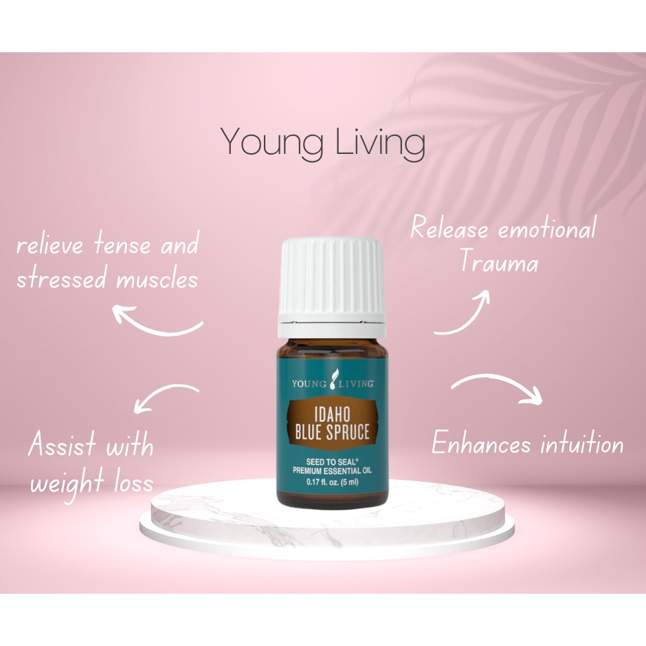 Young Living YL Idaho Blue Spruce Essential Oil 5ml | Shopee Malaysia