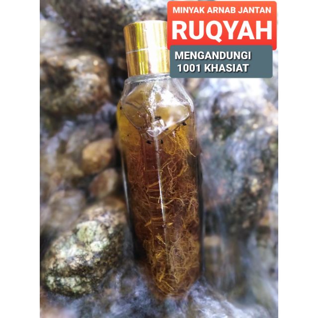 MINYAK ARNAB JANTAN RUQYAH 170ML Shopee Malaysia