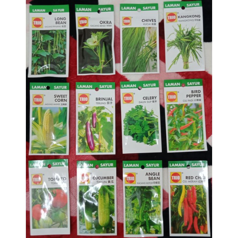 Bersemi di Era Digital: Peluang dan Tantangan Bisnis Benih Sayur Online