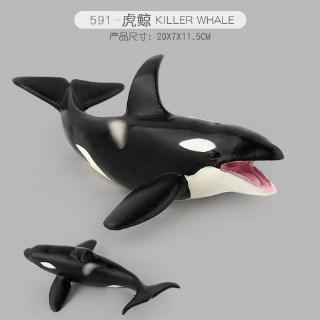 Roblox Killer Whale Launcher