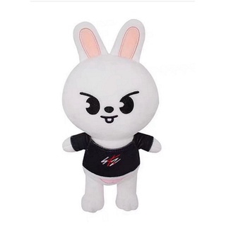 Kawaii Cool Skzoo Stray Kids Skzoo Doll Skzoo Pillow Skzoo Plush Toys ...