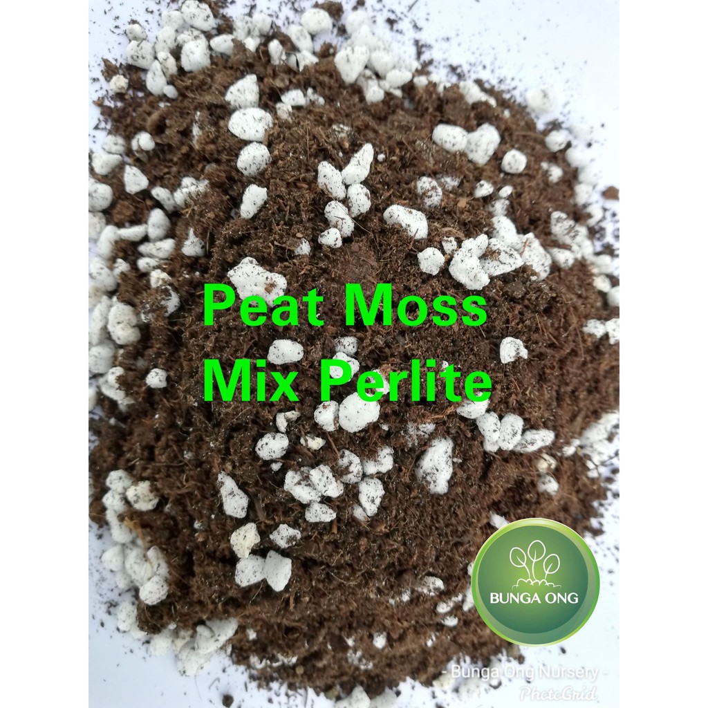 Peat Moss (Import) mix Perlite / tanah semaian campuran perlite