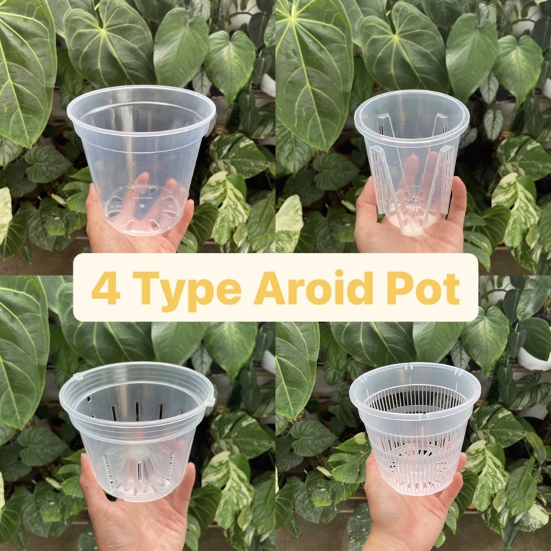 Transparent Clear Aroid Pot [ Root Control Breathable Planter Container