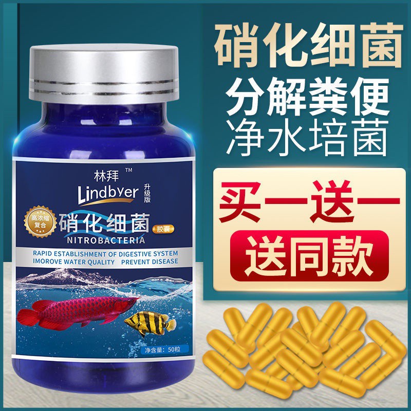 READY STOCK 硝化细菌硝化菌消化细菌鱼缸净水剂养鱼用品胶囊水族水质稳定剂nitrifying Bacteria Nitrifying Bacteria Digestive Bacteria Aquarium Water Purifier Fish Farming Supplies Capsule Aquarium Water Quality Stabilizer Creativeshop