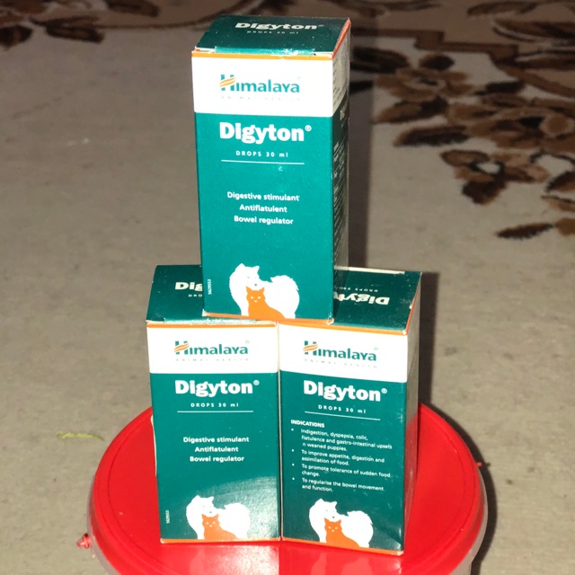 Digyton Untuk Sakit Perut Keselesaan Usus Kucing Haiwan Peliharaan Shopee Malaysia