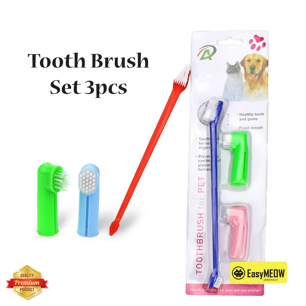What Toothbrush To Use For Dogs