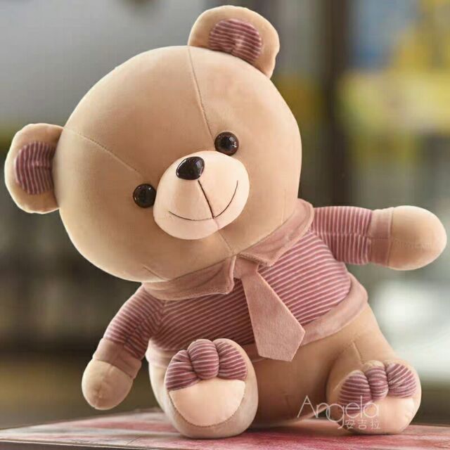 teddy bear comel