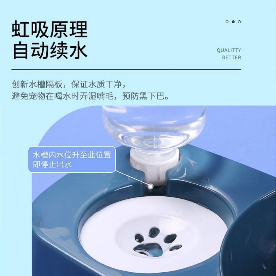 Mangkuk kucing double mangkuk anti -keghairahan air automatik kucing makanan lembangan automatik air minuman kucing mang