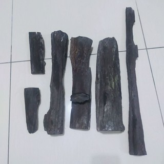 Teras Penawar hitam asli  Shopee Malaysia